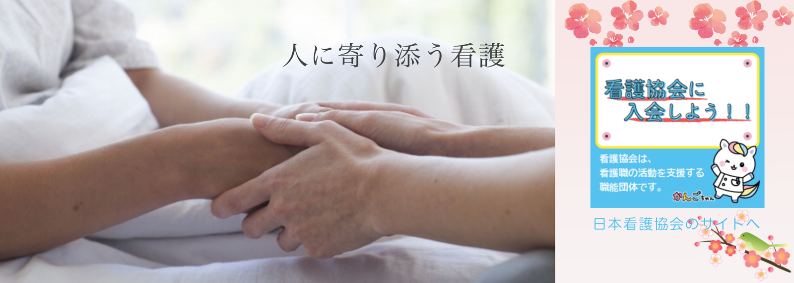 看護協会入会促進スライド3月梅と鶯